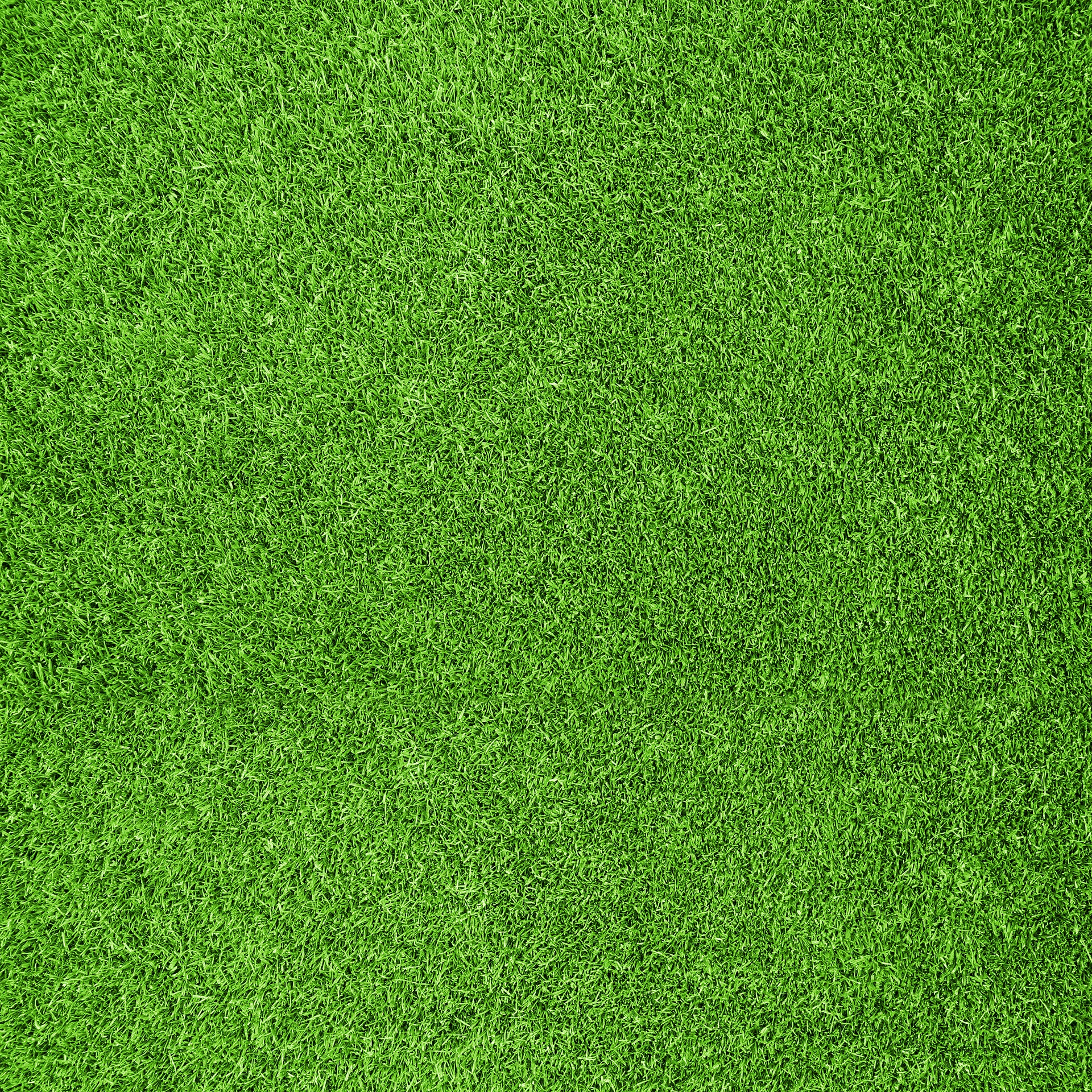 bigstock-Beautiful-green-grass-texture--16555736 (1).jpg