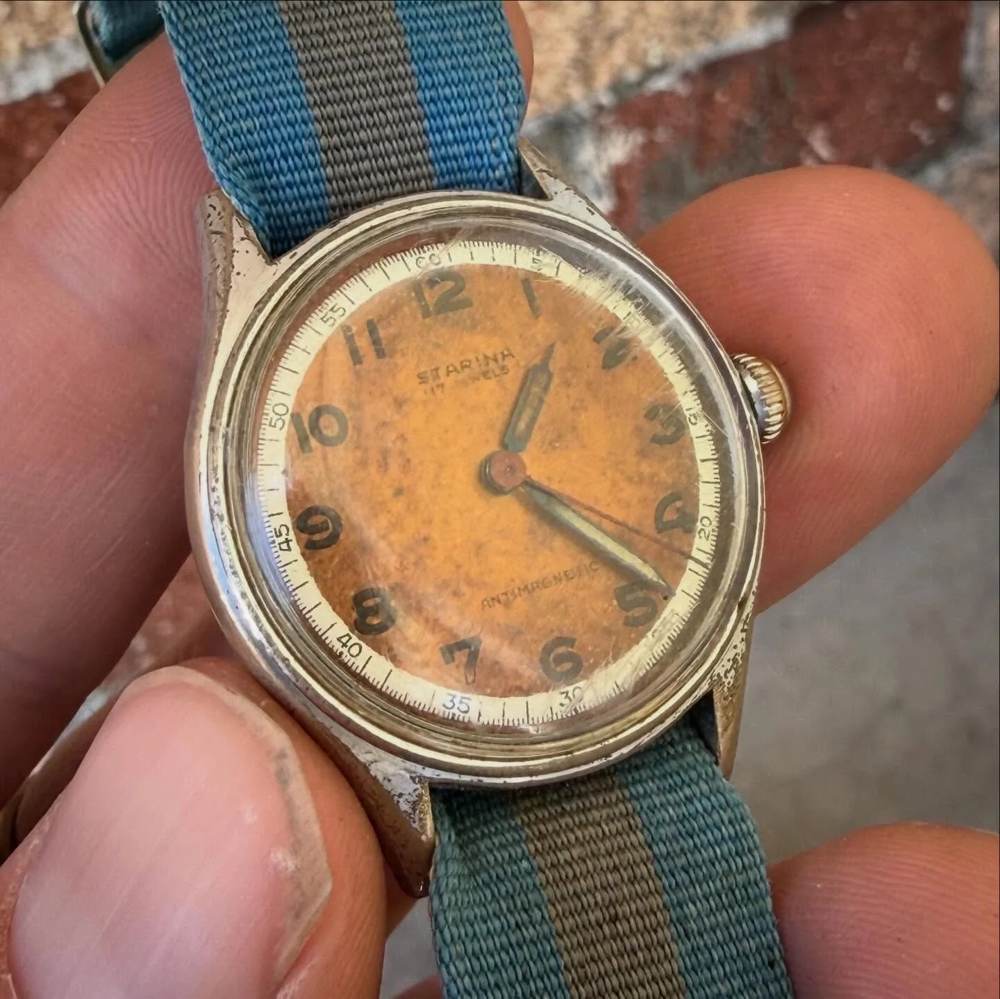 Easily my favorite watch find in a while. Starina Swiss movement watch dating from the late 1940s low profile military style with a beautifully aged salmon dial, railroad track outer second ring, and blue steel uranium painted hands.

Some scratching