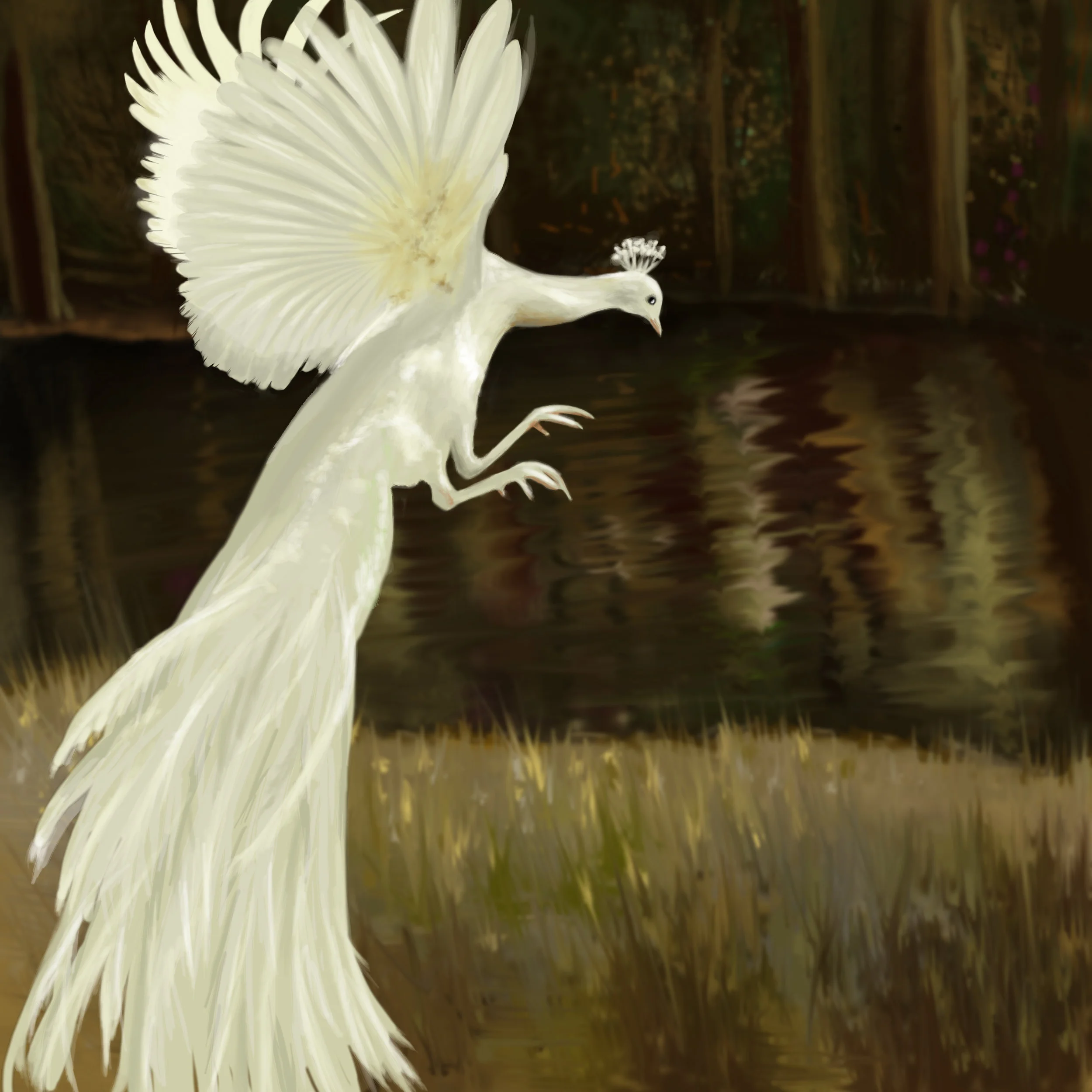 peac - Copy - Copy - Copy - Copy.jpg