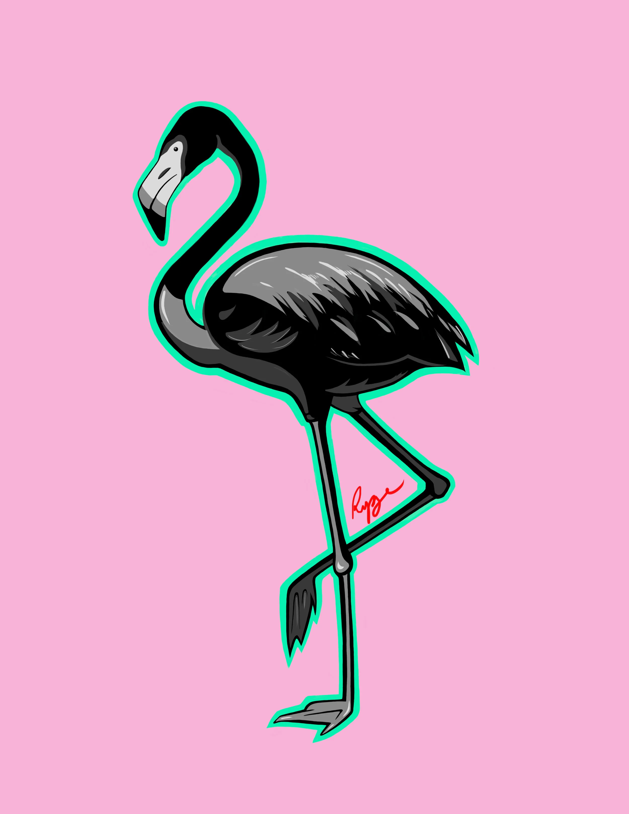 flamingo.jpg