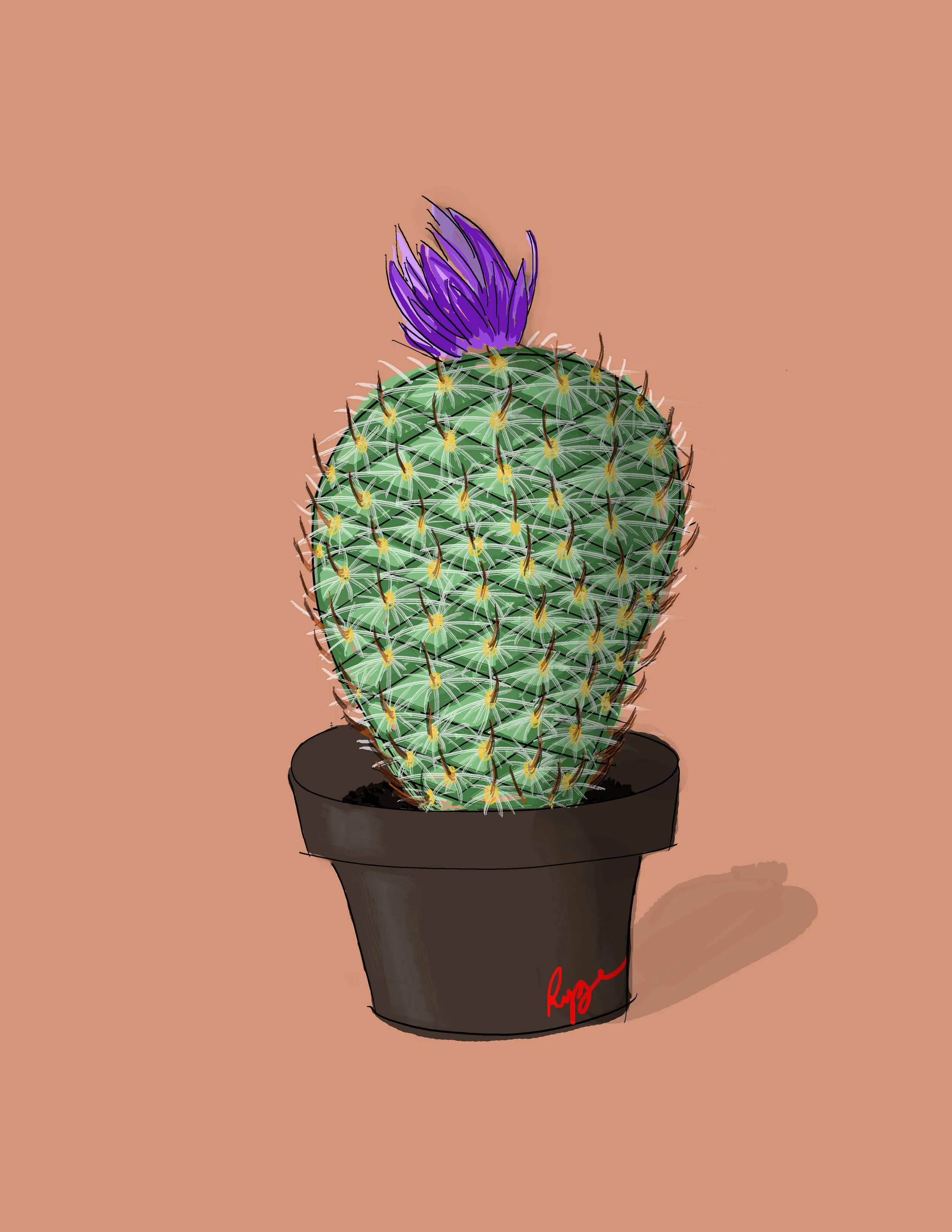 caCTI.jpg