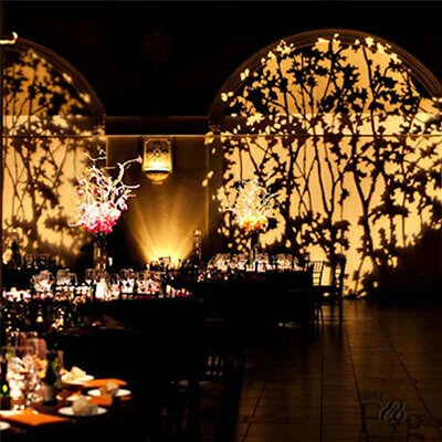a gobo 4.jpg