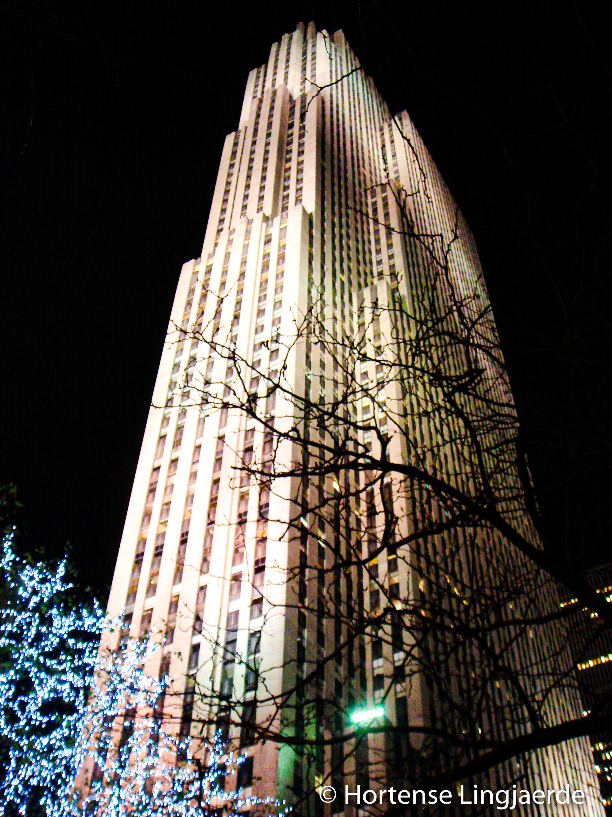 20111216-DSC06818.jpg