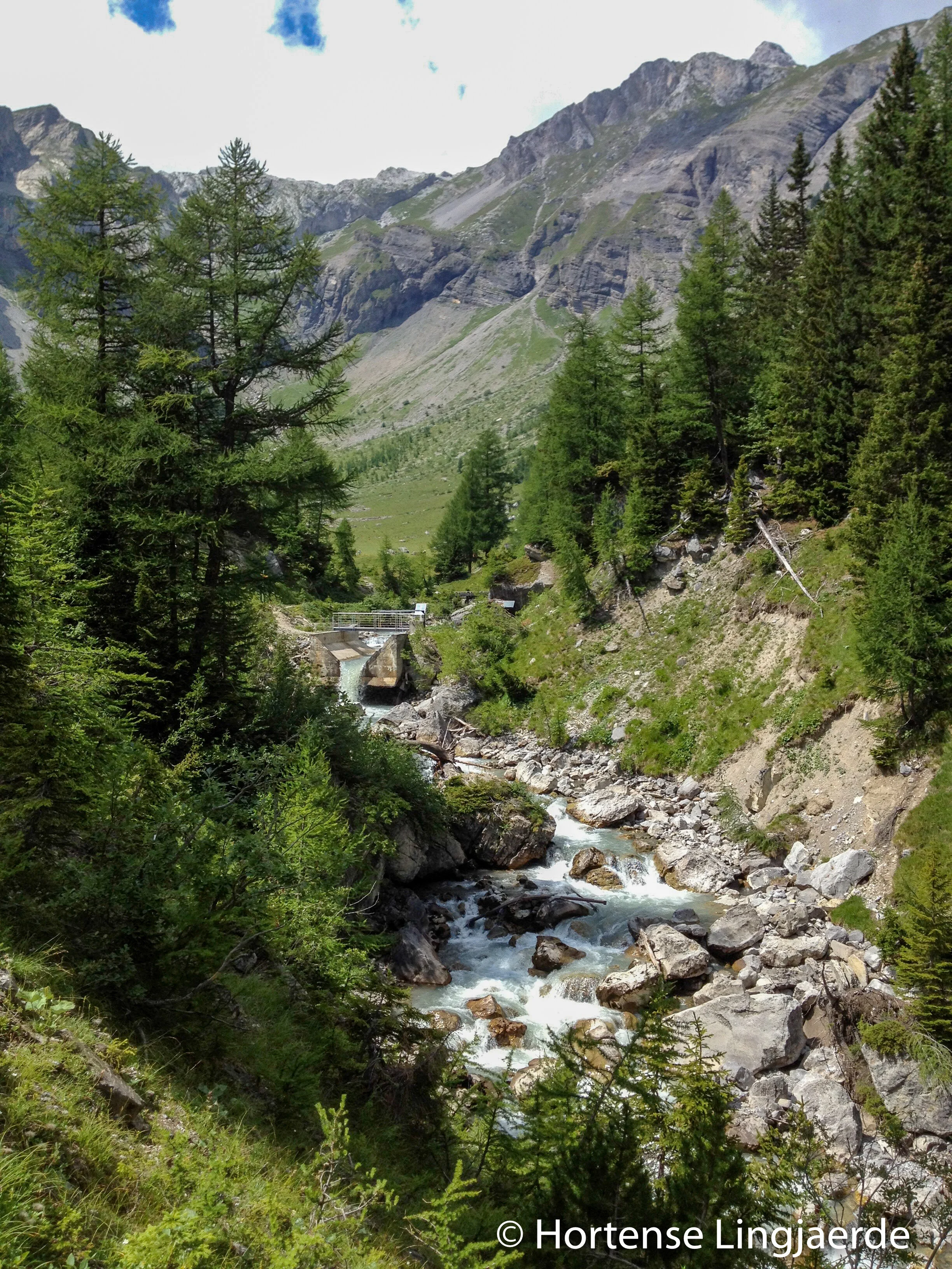 20120814-IMG_3523.jpg