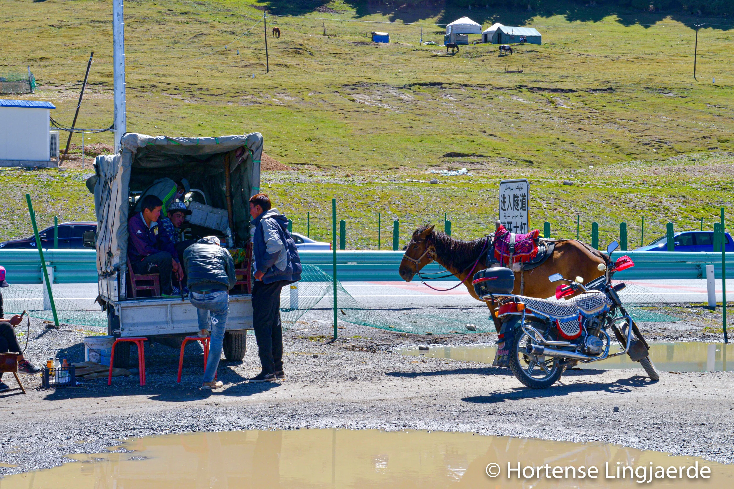 20150816-DSC_6382.jpg