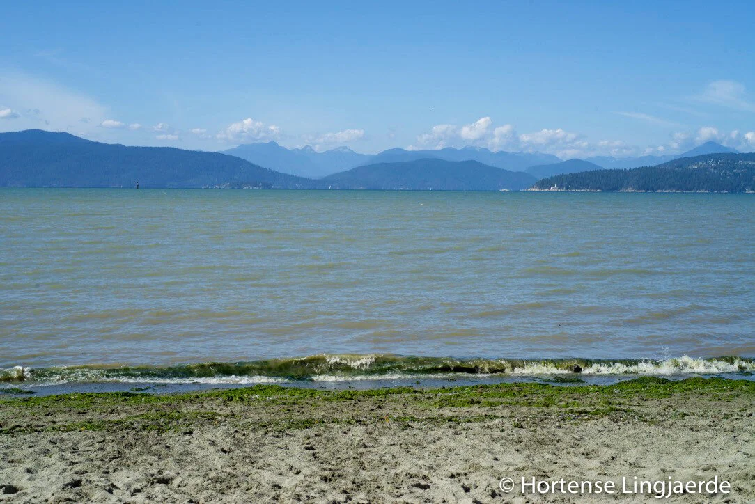 20190822-DSC03953.jpg