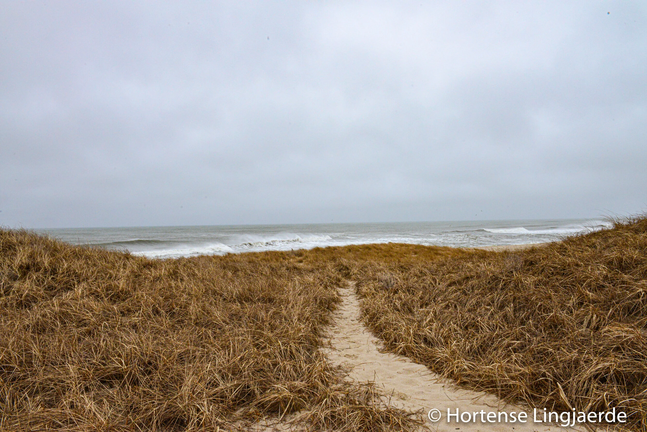 20140331-DSC_4244.jpg