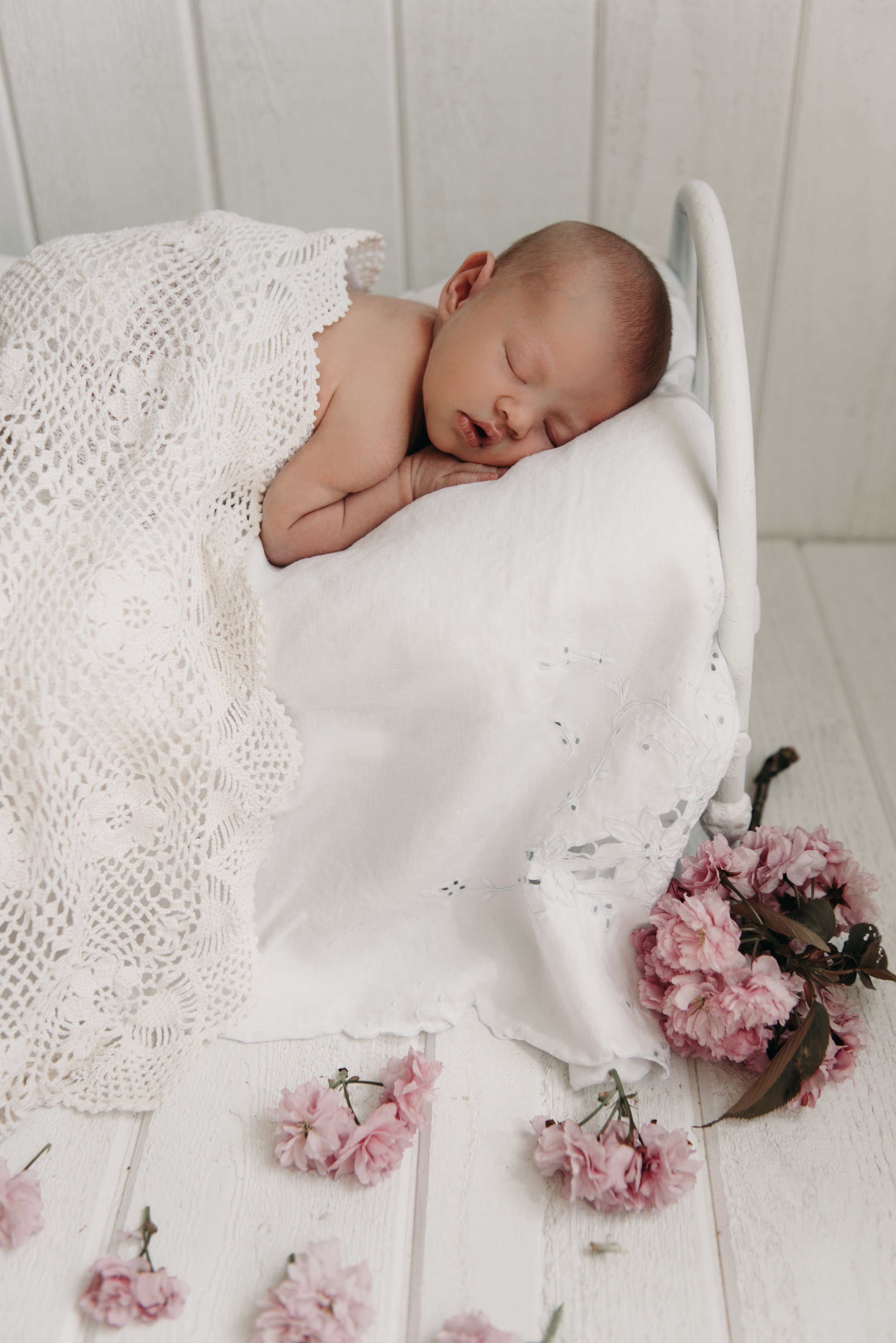 Tessa Newborn Photos - Sunshine Coast BC Photographer - Laura Olson Photography-4759.jpg