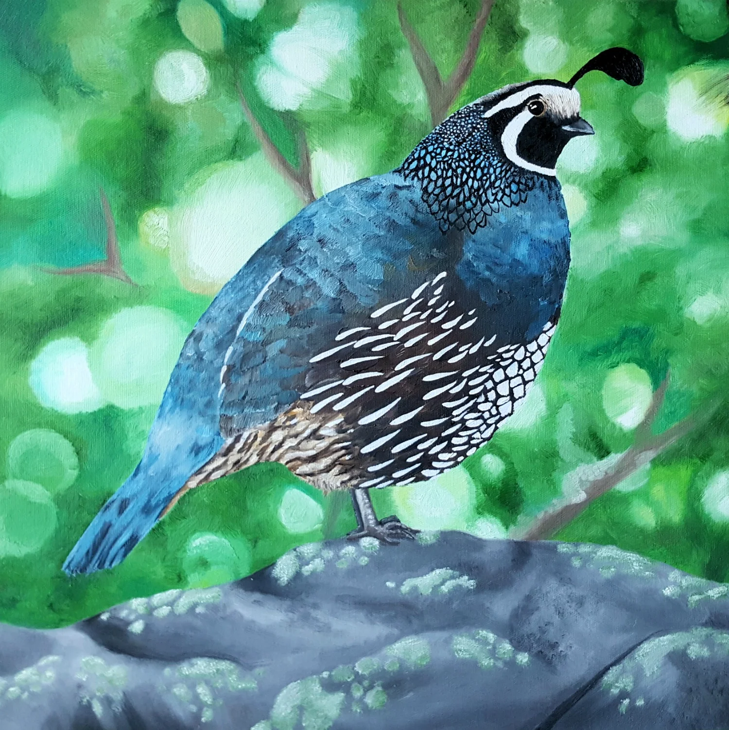 Californian quail, oil paint