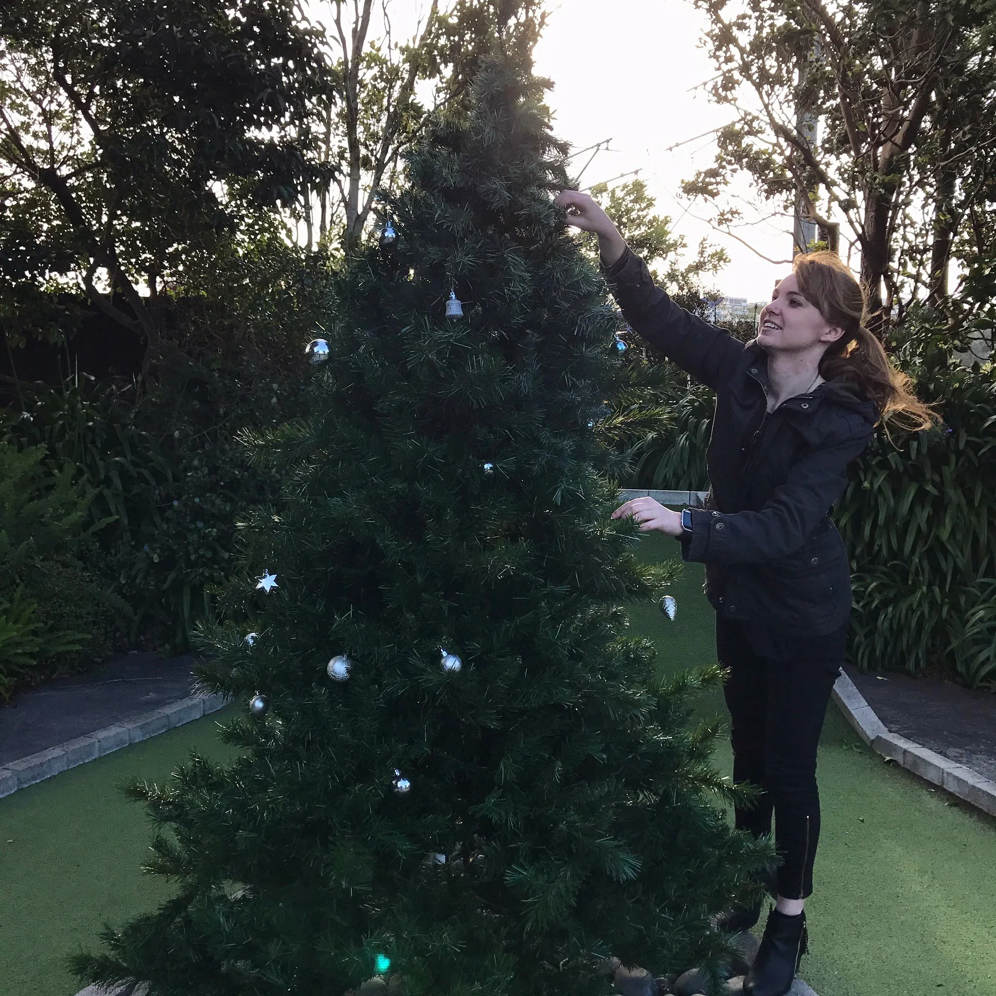 Setting up one of the many (!!) Christmas trees