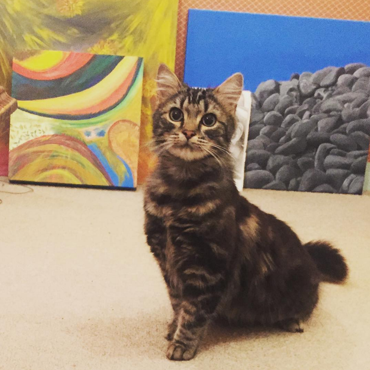 Screen Shot 2017-09-27 at 5.49.15 PM.png