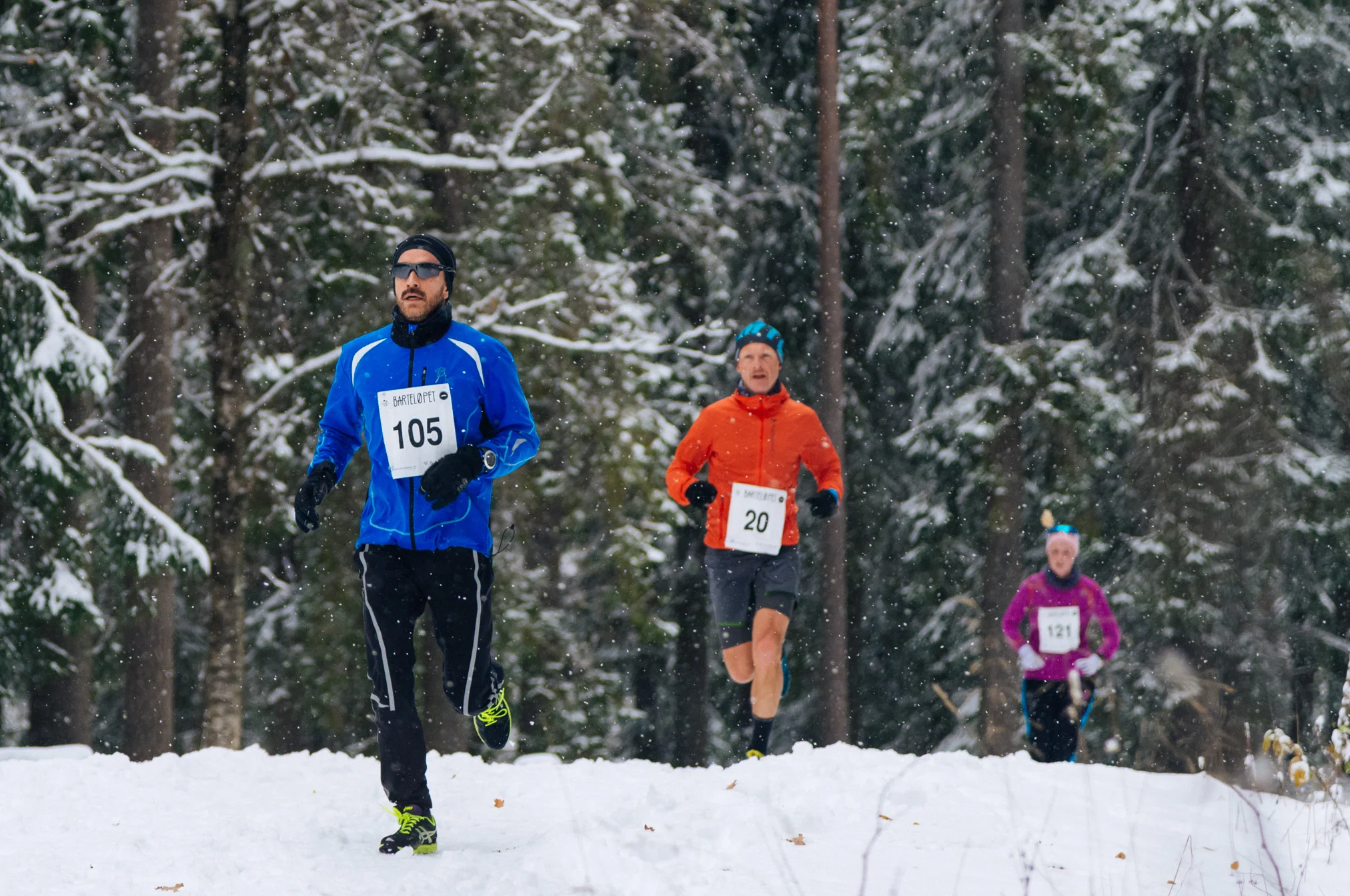 20161105-Barteloepet-024.jpg