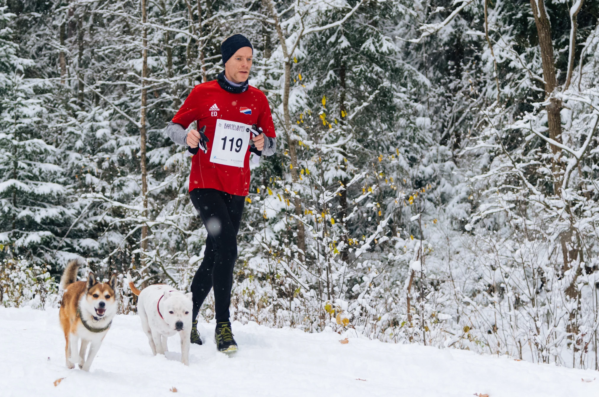 20161105-Barteloepet-029.jpg
