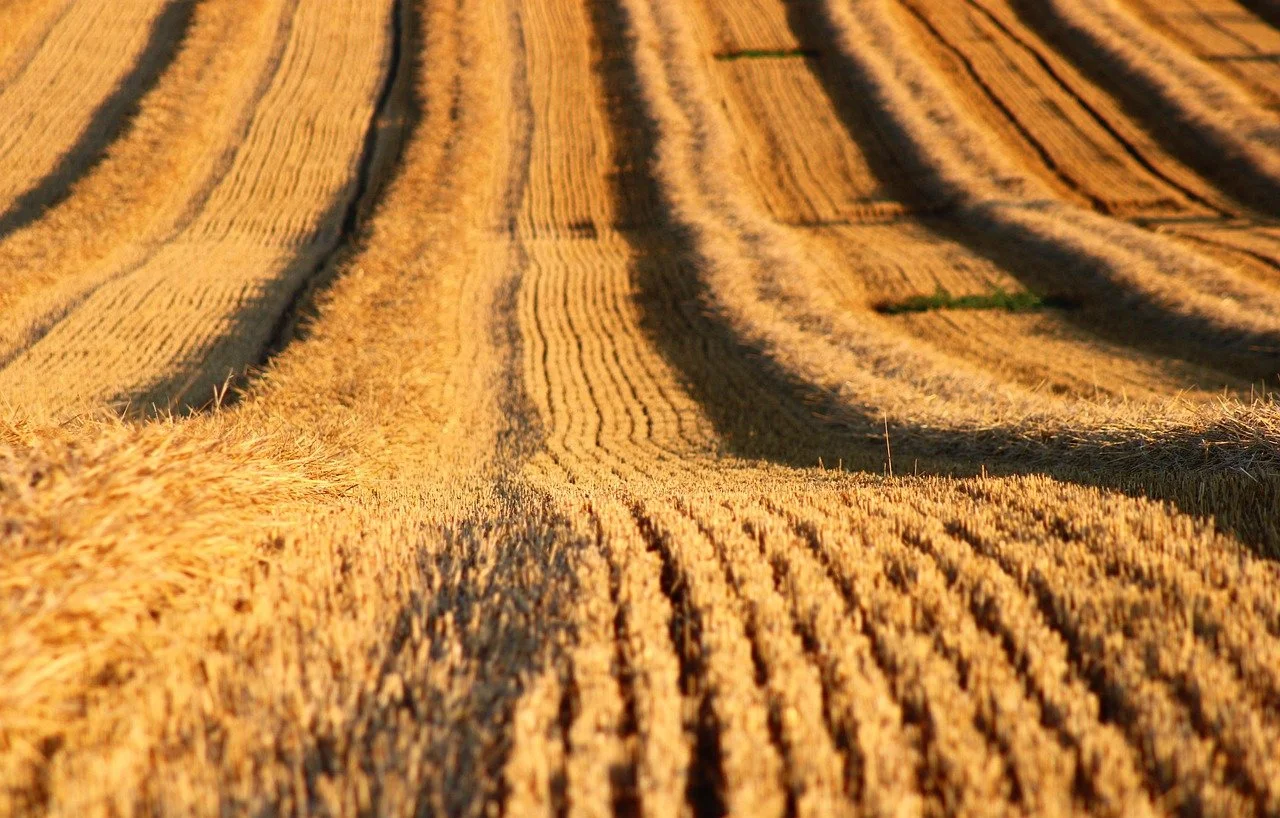 Kristkirken i august