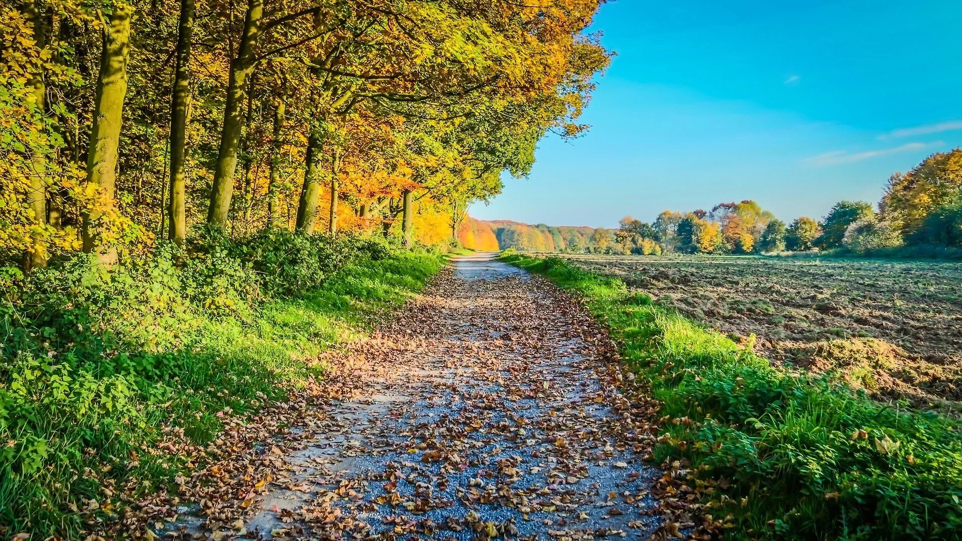 Kristkirken i september