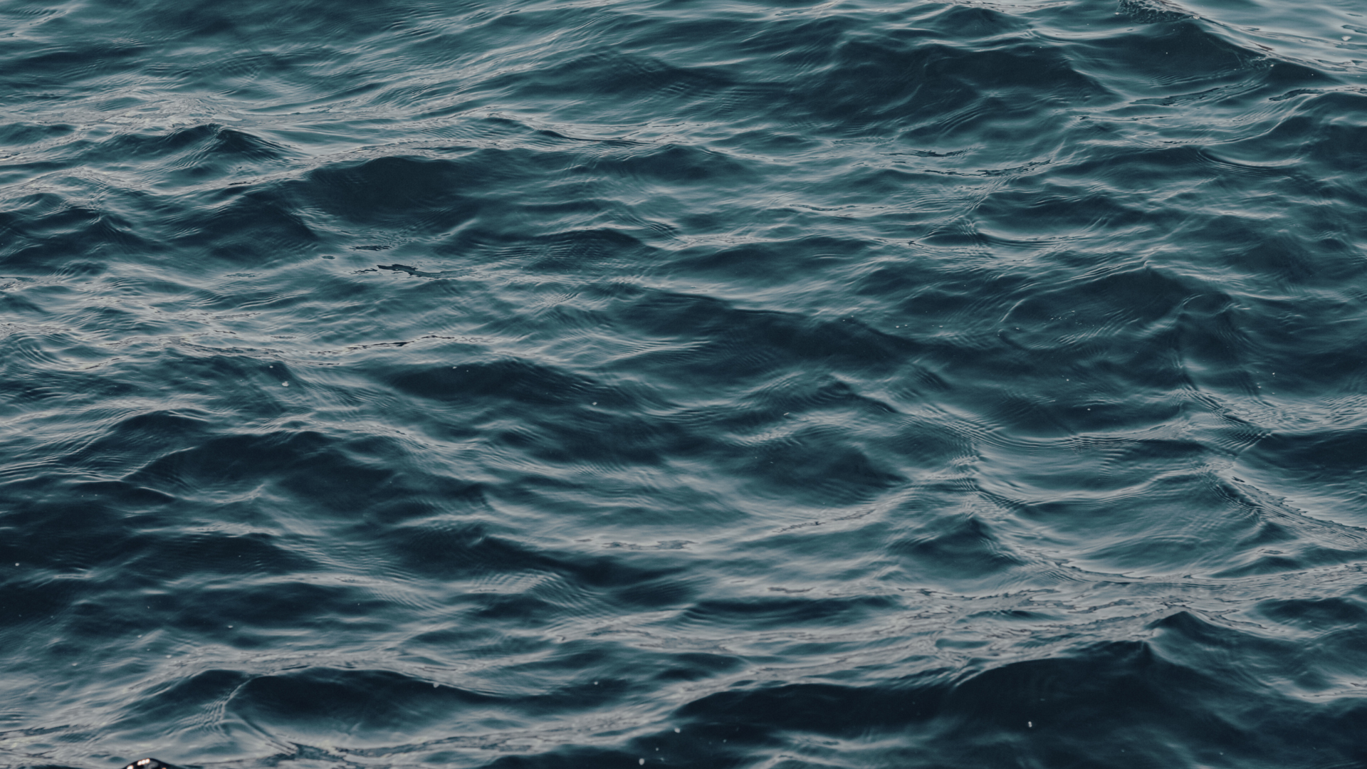 Kib visuell profil-3.png