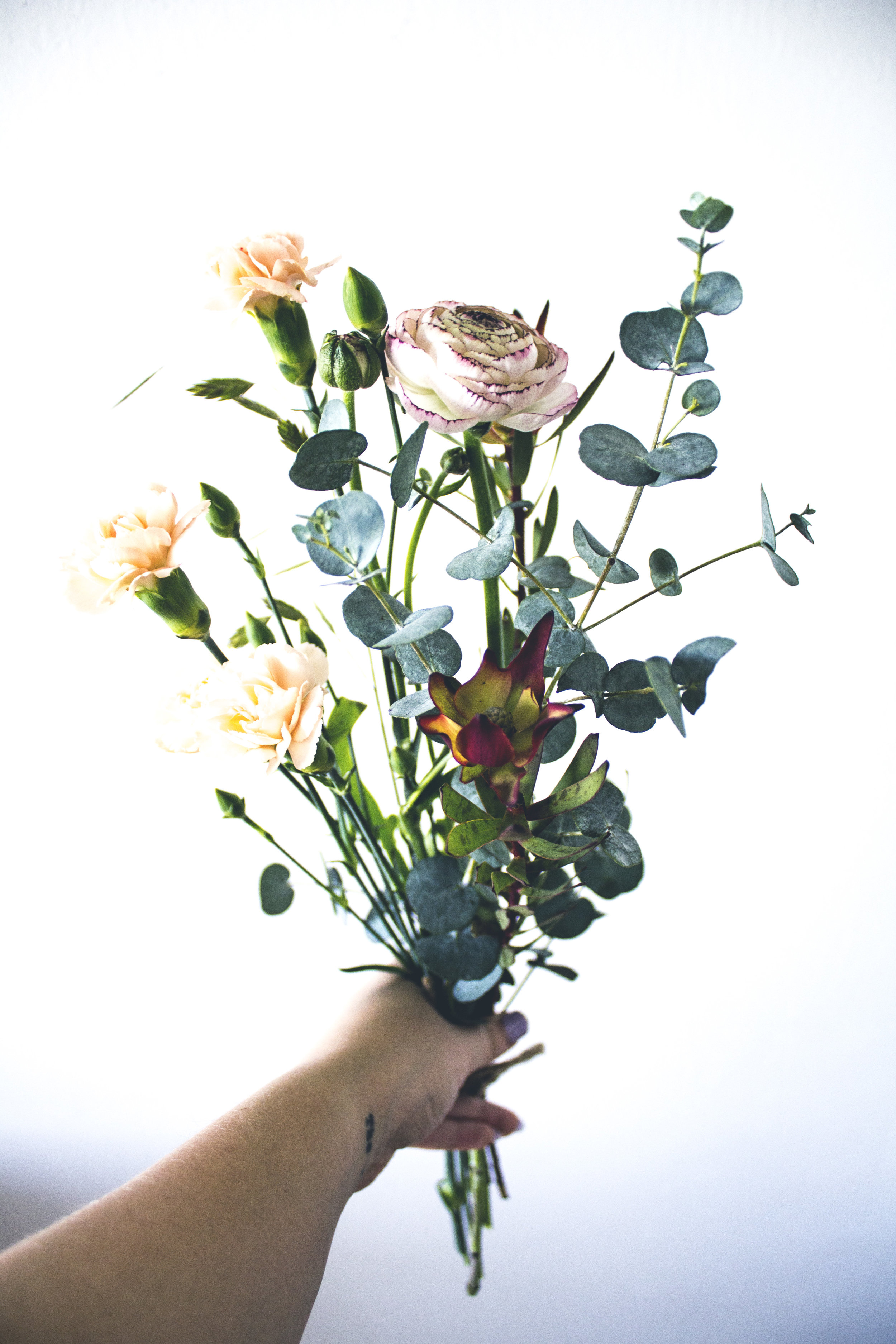Flowers from @opuntia_tre