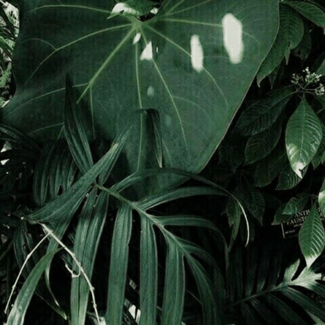 20170508185917.gif