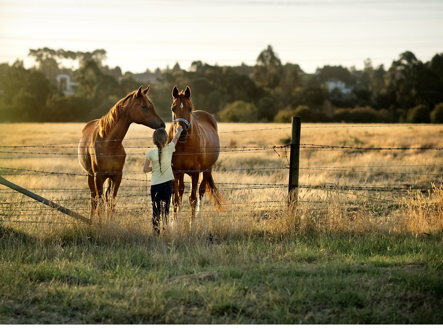 moments-that-matter-january-bec-stewart-photography9.jpg