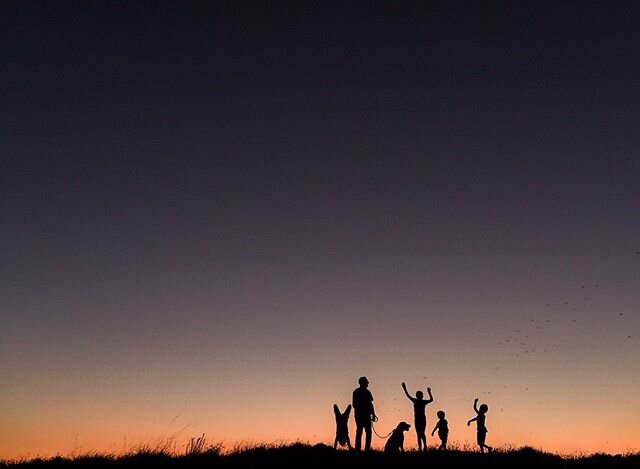 We were having a lovely time taking Baxter for a walk on our favourite hill last night until we realised the &lsquo;birds&rsquo; above us weren&rsquo;t actually birds, they were bats! Never seen the kids run so fast back to the car. 🦇