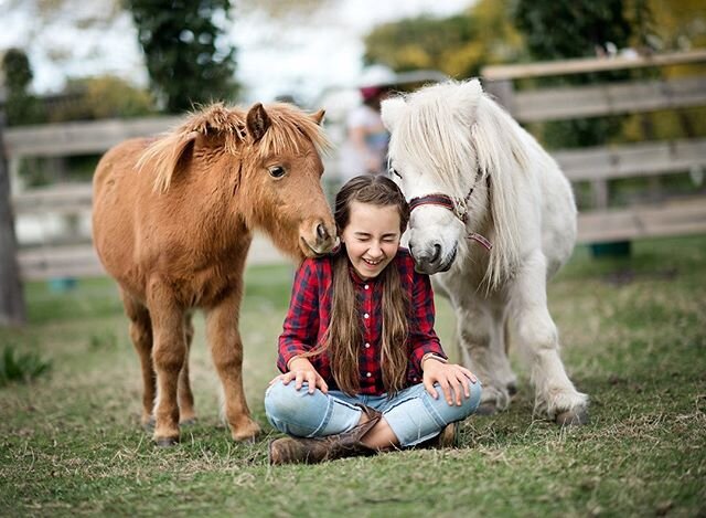 Coco and Alfie are loving having the kids home from school - especially her! I&rsquo;m sure they&rsquo;re getting twice (or maybe four times) as many treats sneaked through the fence than they usually would! 🐴