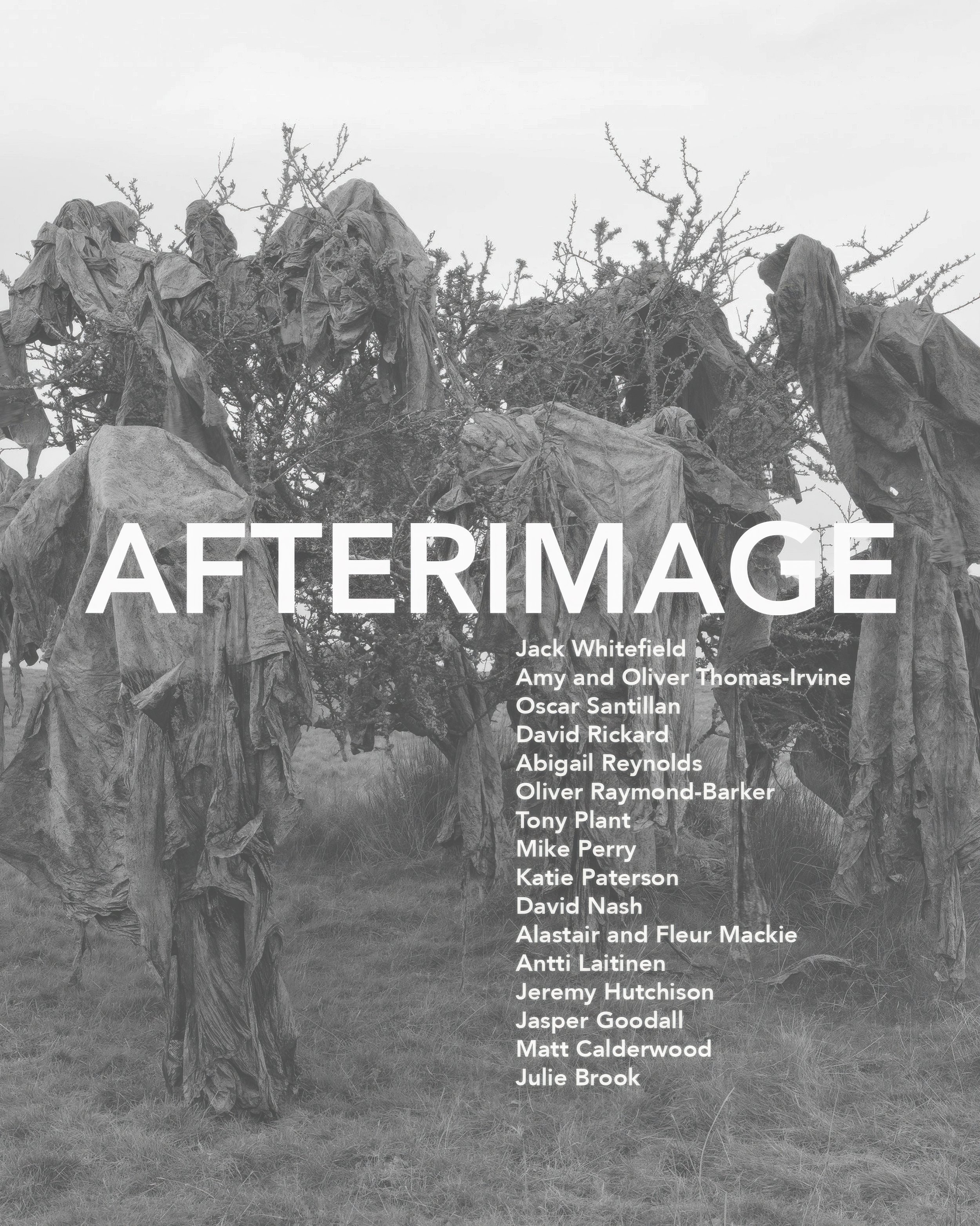 Afterimage: Tremenheere sculpture gardens

What compels an artist to venture into remote landscapes, to intervene quietly in forgotten spaces, or to orchestrate
fleeting encounters that exist primarily through their photographic record? The works gat