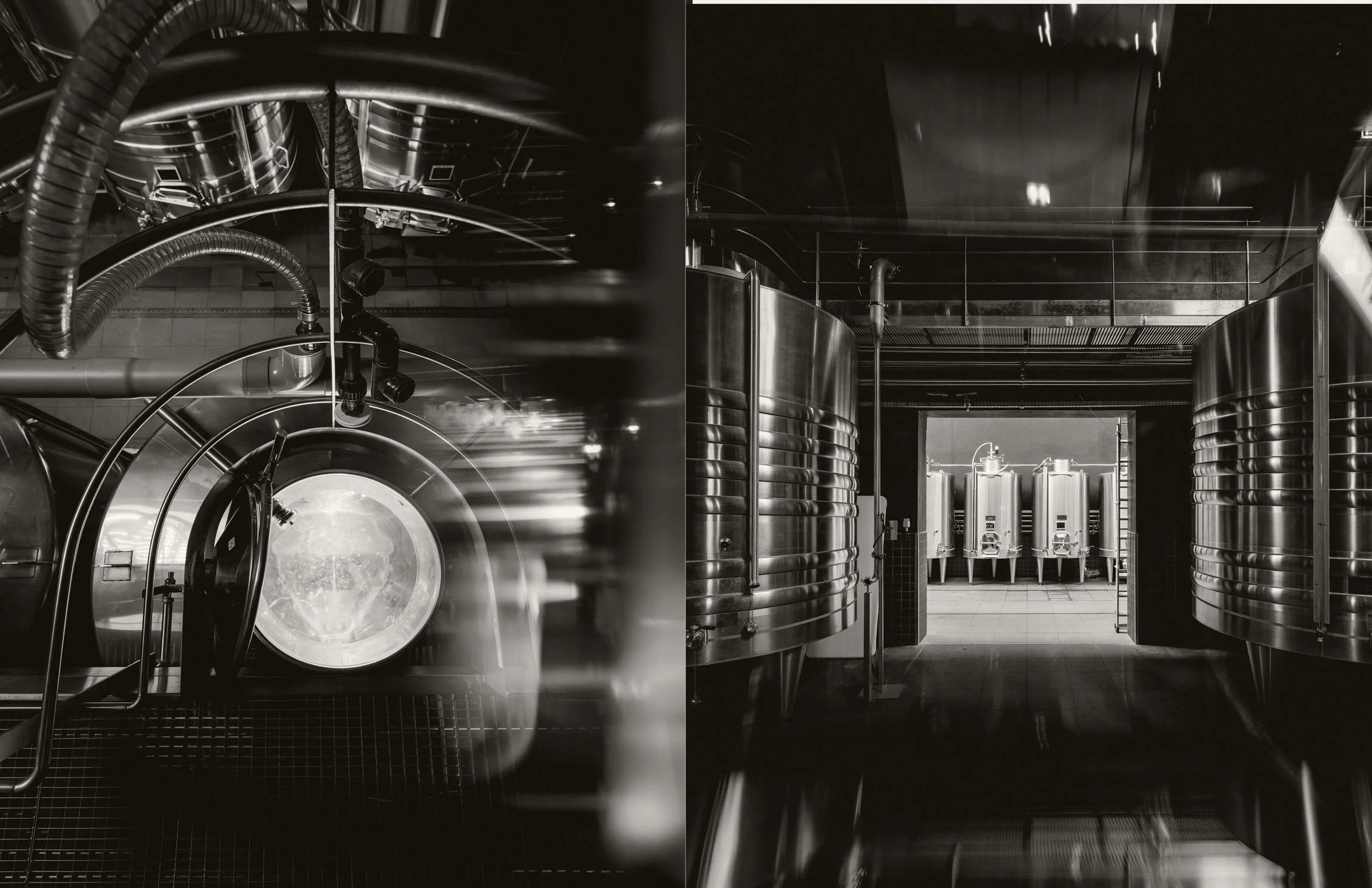 looking down into a vat | vats for experimental cuvées