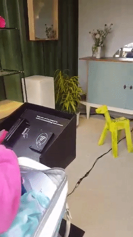 giphy (1).gif