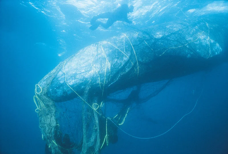 ghost-fishing-1_custom-7098538a816daf1be8ac3e721a07a17298264a84-s800-c85.jpg