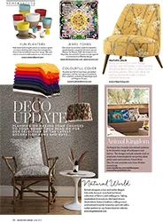 Bird in Emirates Home