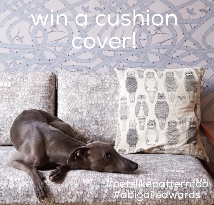 Competition time- Win a cushion cover