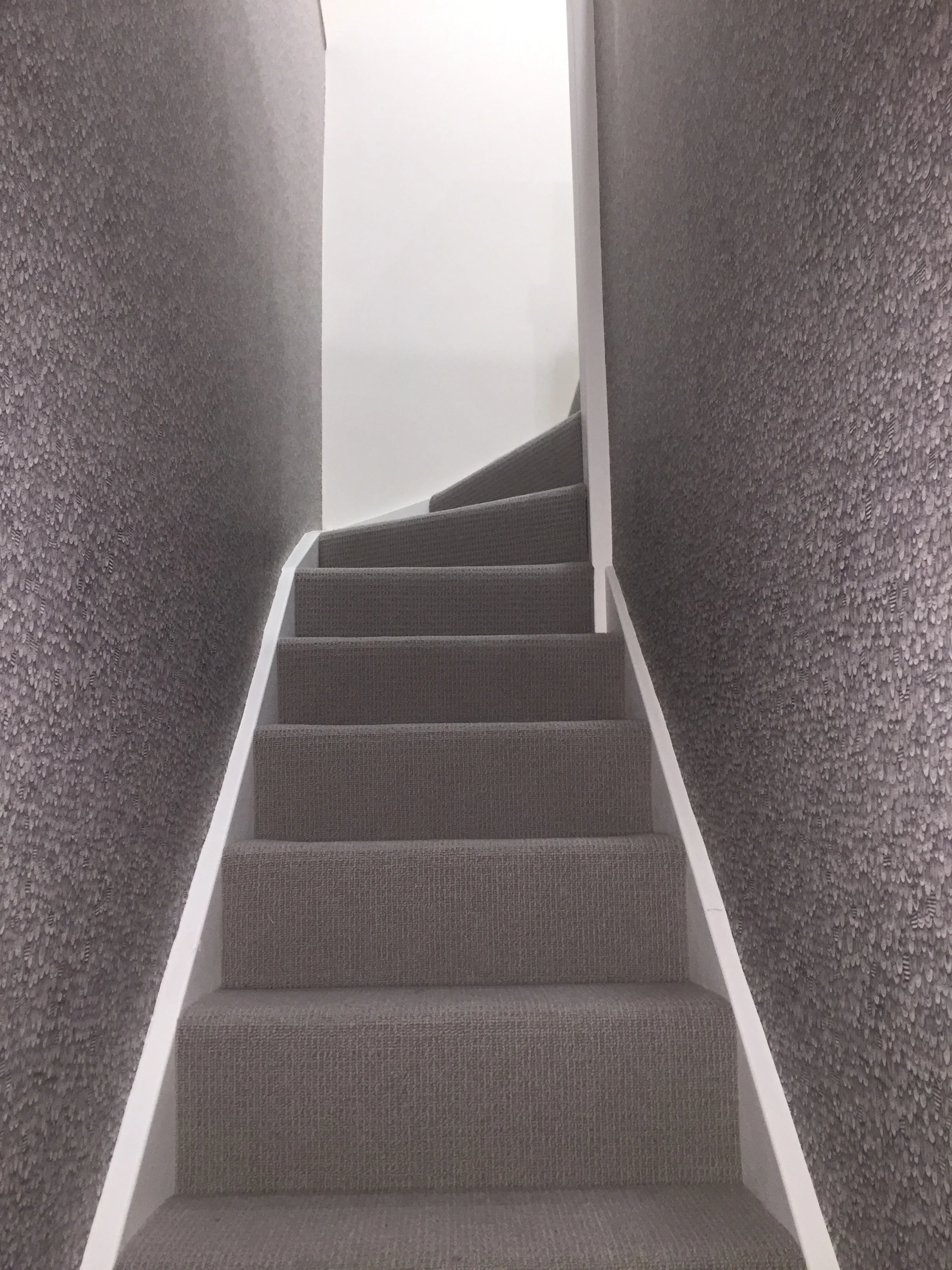 And last but not least. Bird in Shadow in Jame's hallway in North London
