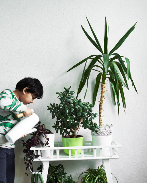 Watering plants in Ikea pots kids room