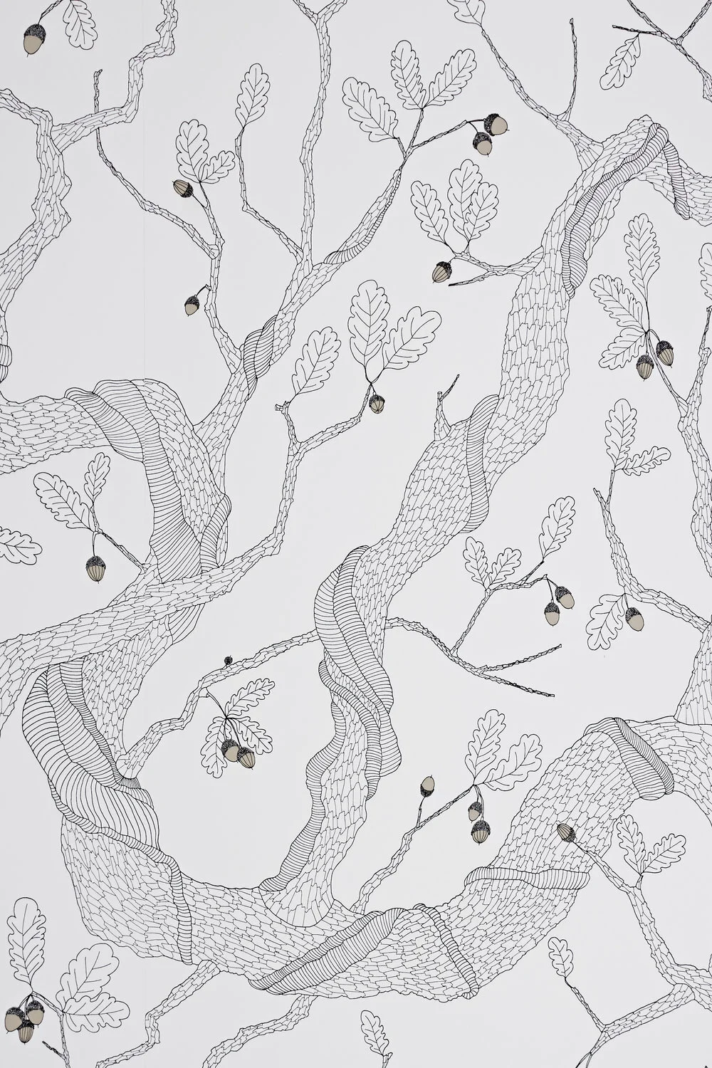 Oak+Tree+in+White+Swatch_AbigailEdwards_0058.jpg