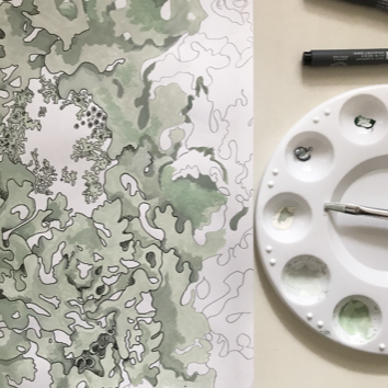 New Design Coming Soon