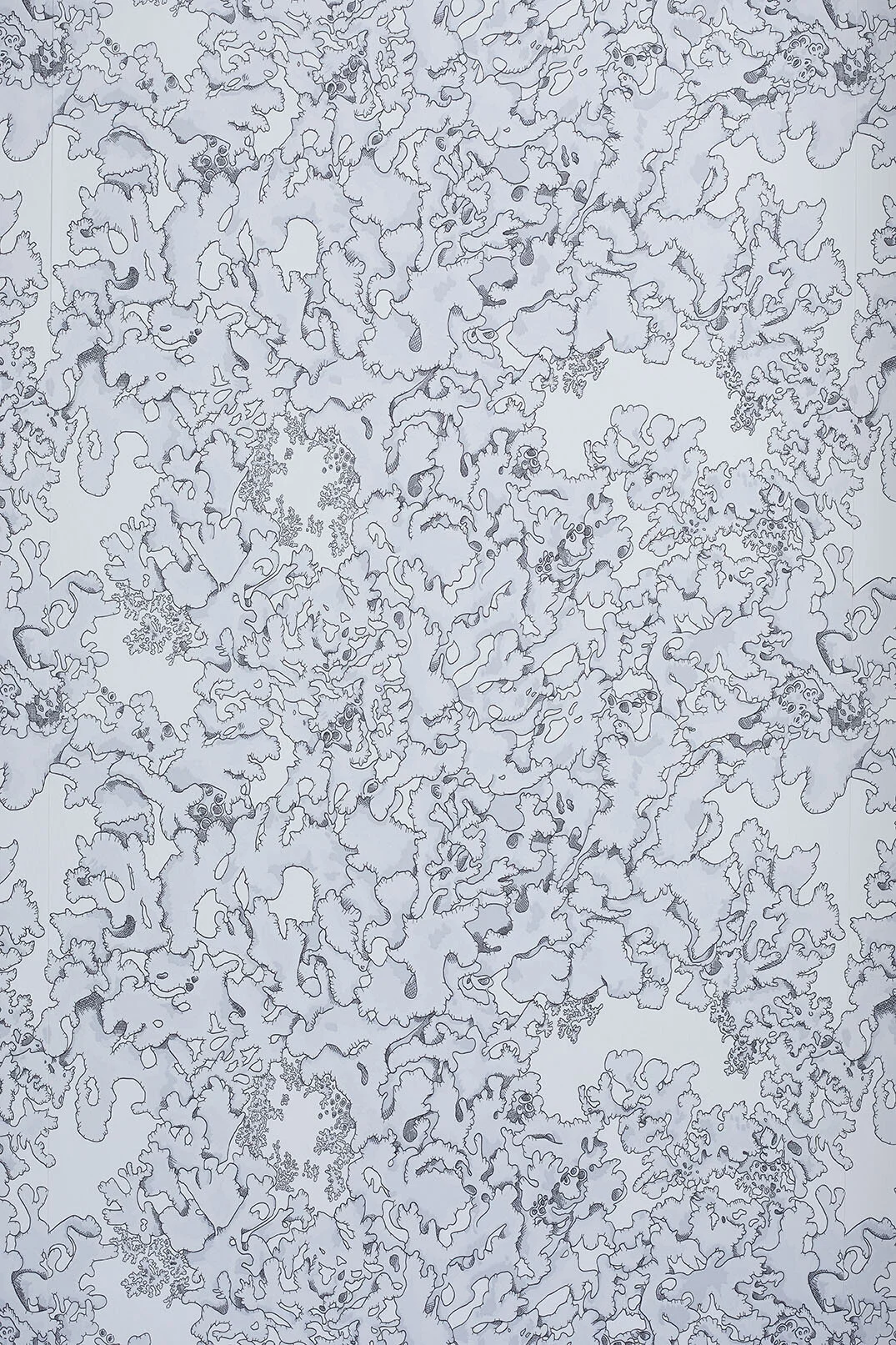 Lichen Wallpaper Swatch: Dust