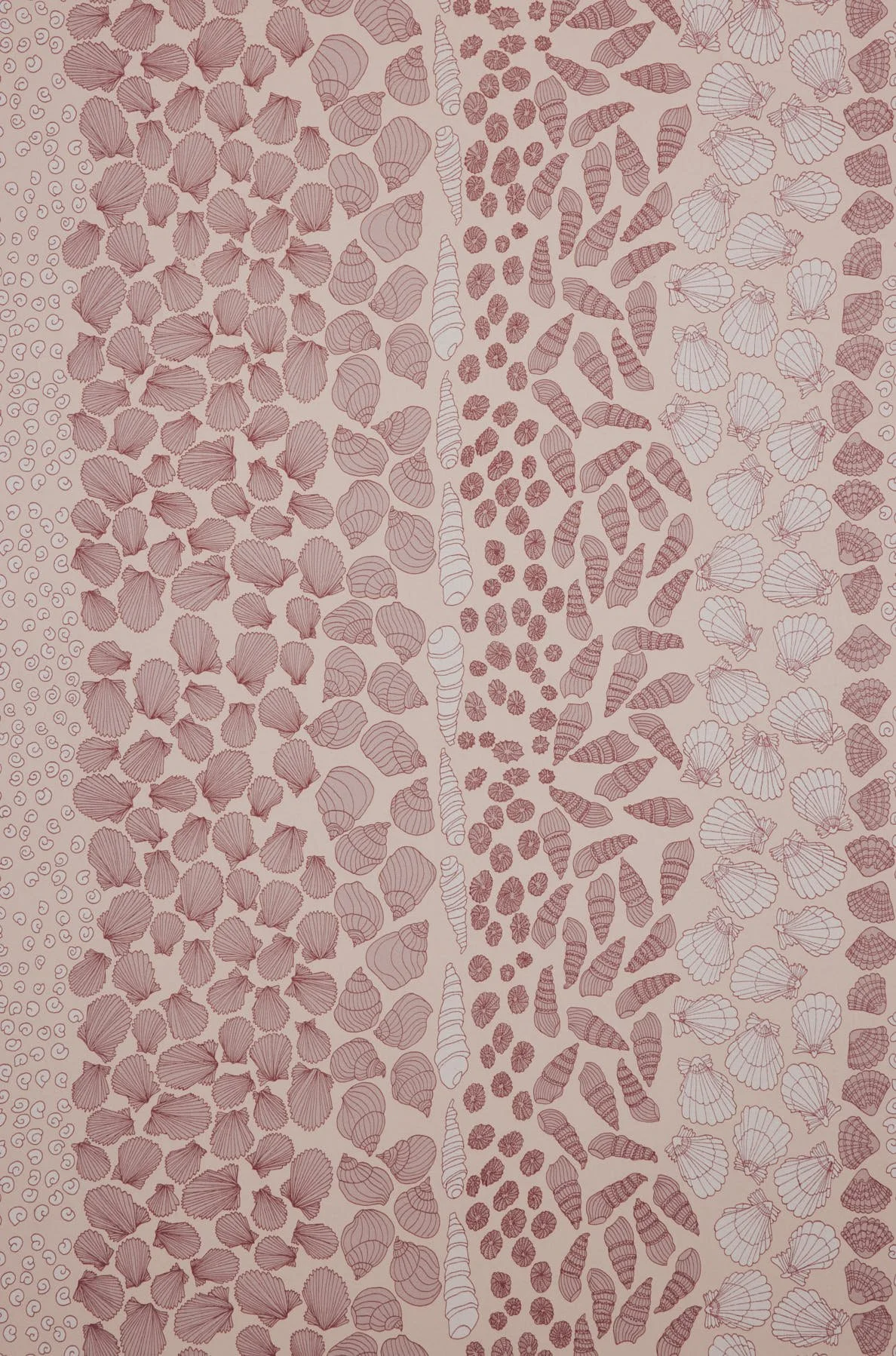 Shells Wallpaper Swatch: Scallop