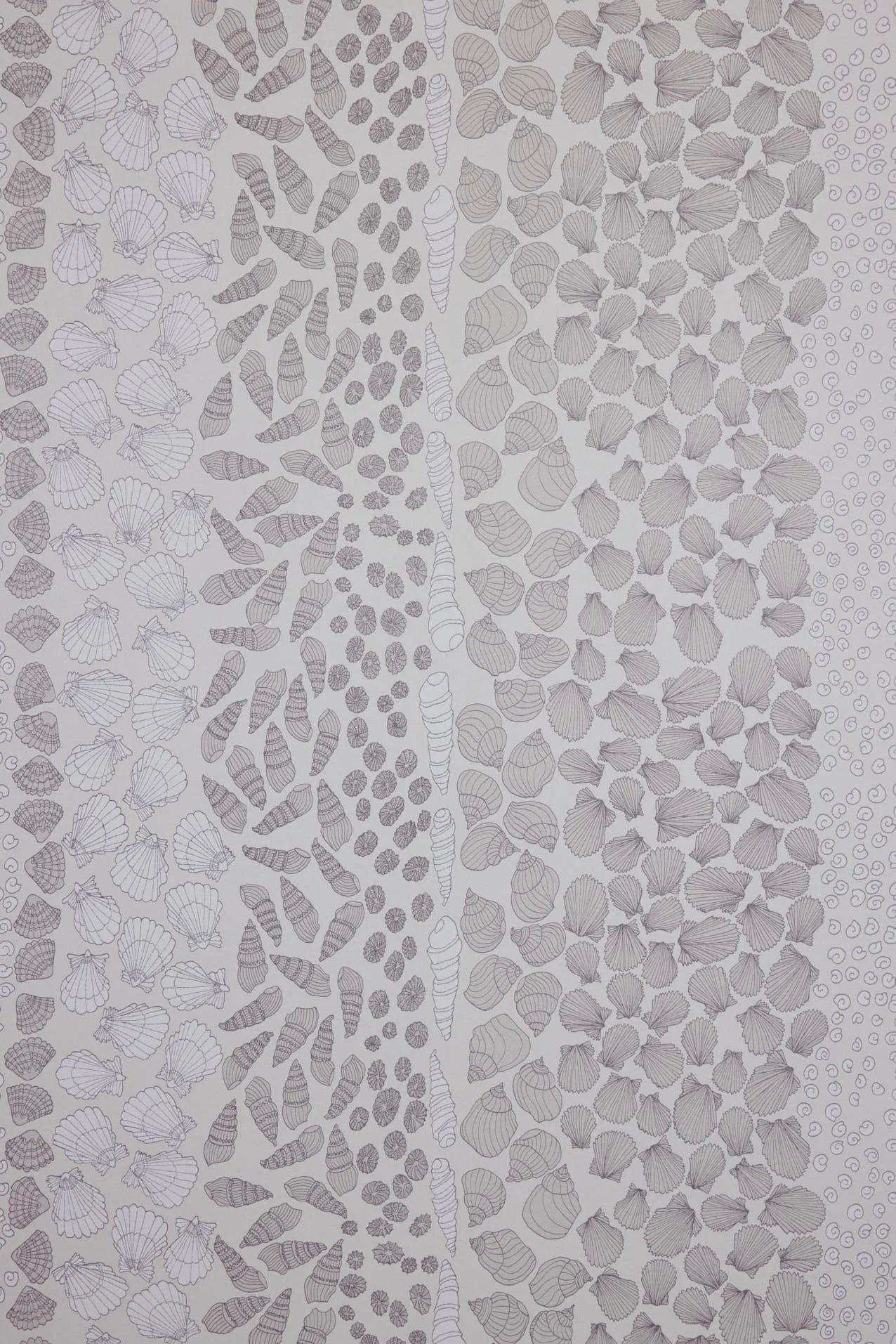 Shells Wallpaper Swatch: Cockle