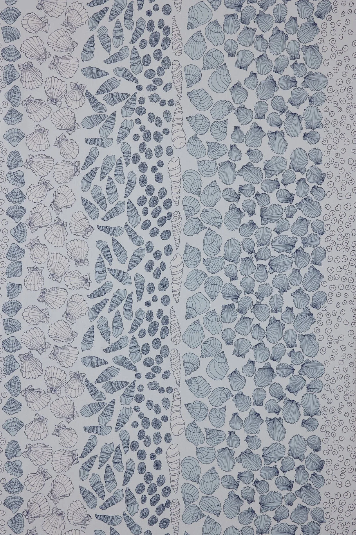 Shells Wallpaper Swatch: Ocean