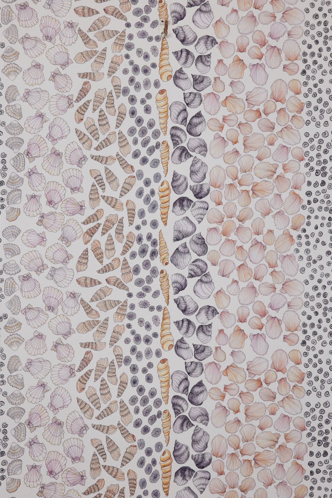 Shells Wallpaper Swatch: Watercolour