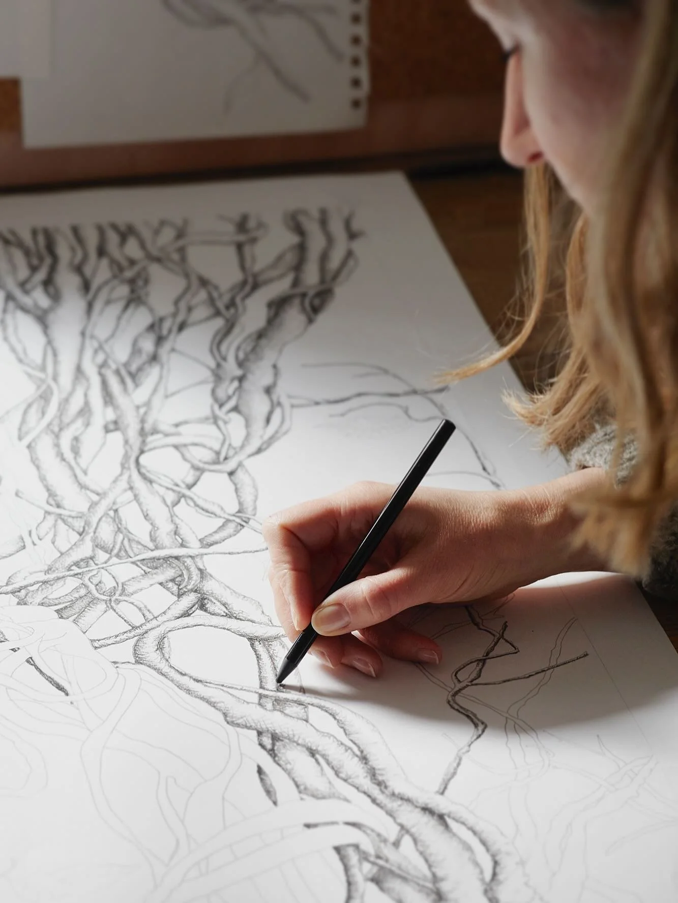 Patterns on your walls telling the story of the quiet transition between seasons 🍂
Sketching 📷 by @carmelkingphoto