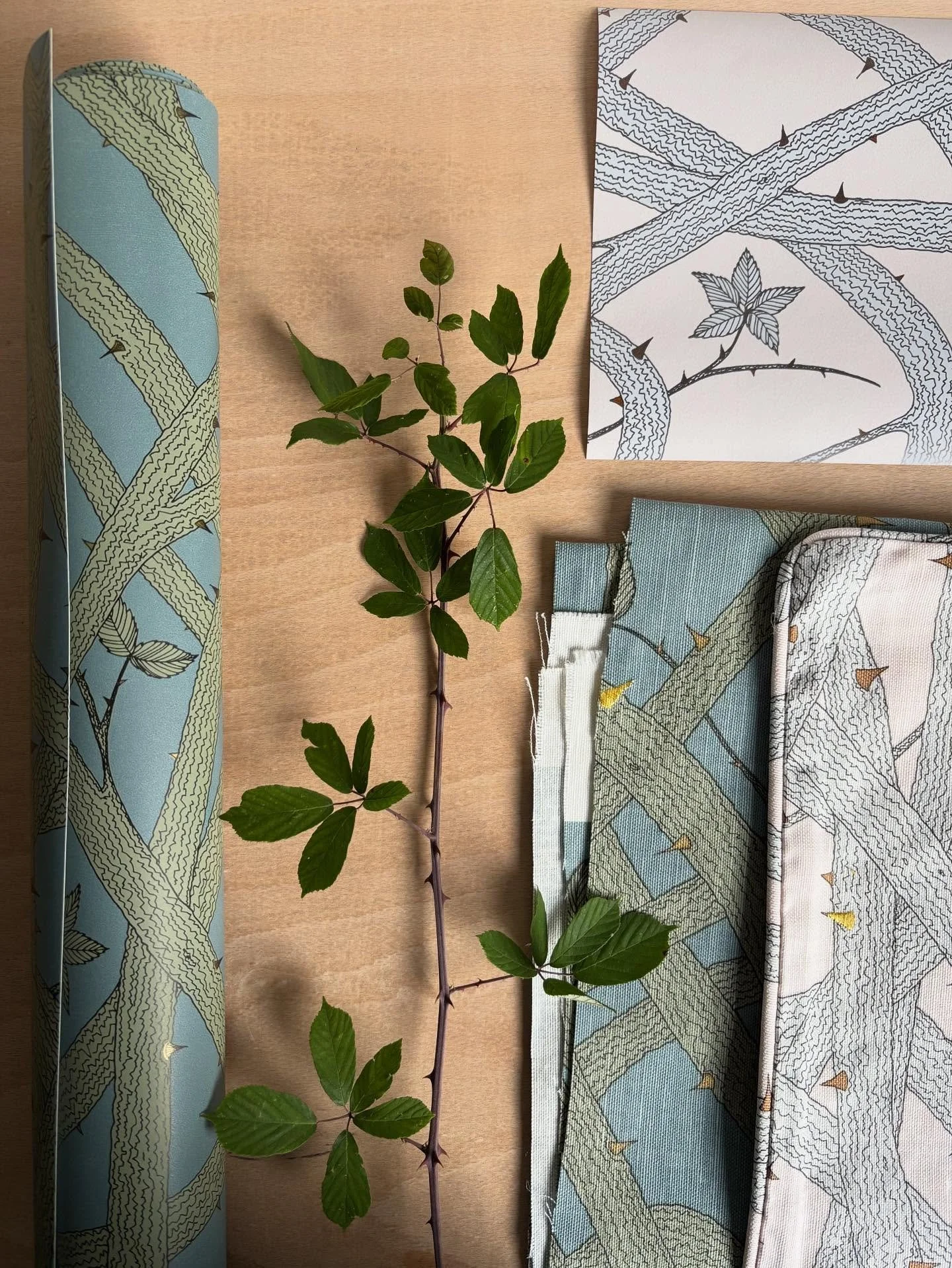 Brambleweb- inspired by the delicate leaves, tangled stems and threatening thorns of a bramble thicket available as a wallpaper, fabric and cushion covers 🤍