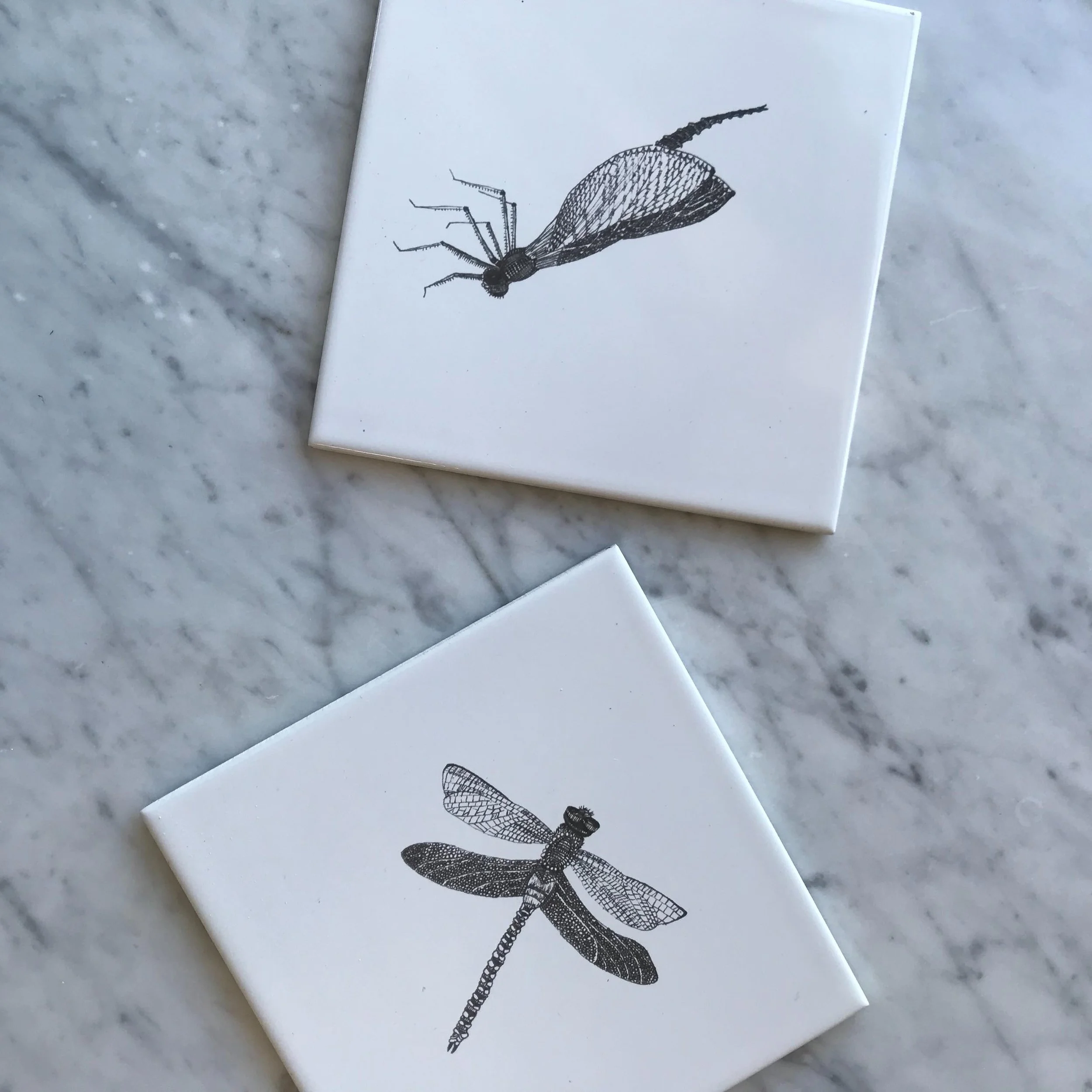 The Dragonfly tile mural began with drawings inspired by dragonflies hovering above a pond in the woods near where I now live