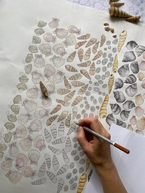 Days of drawing stripes of shells gathered from the beach and working out their watery colours for Shells Wallpaper 🐚