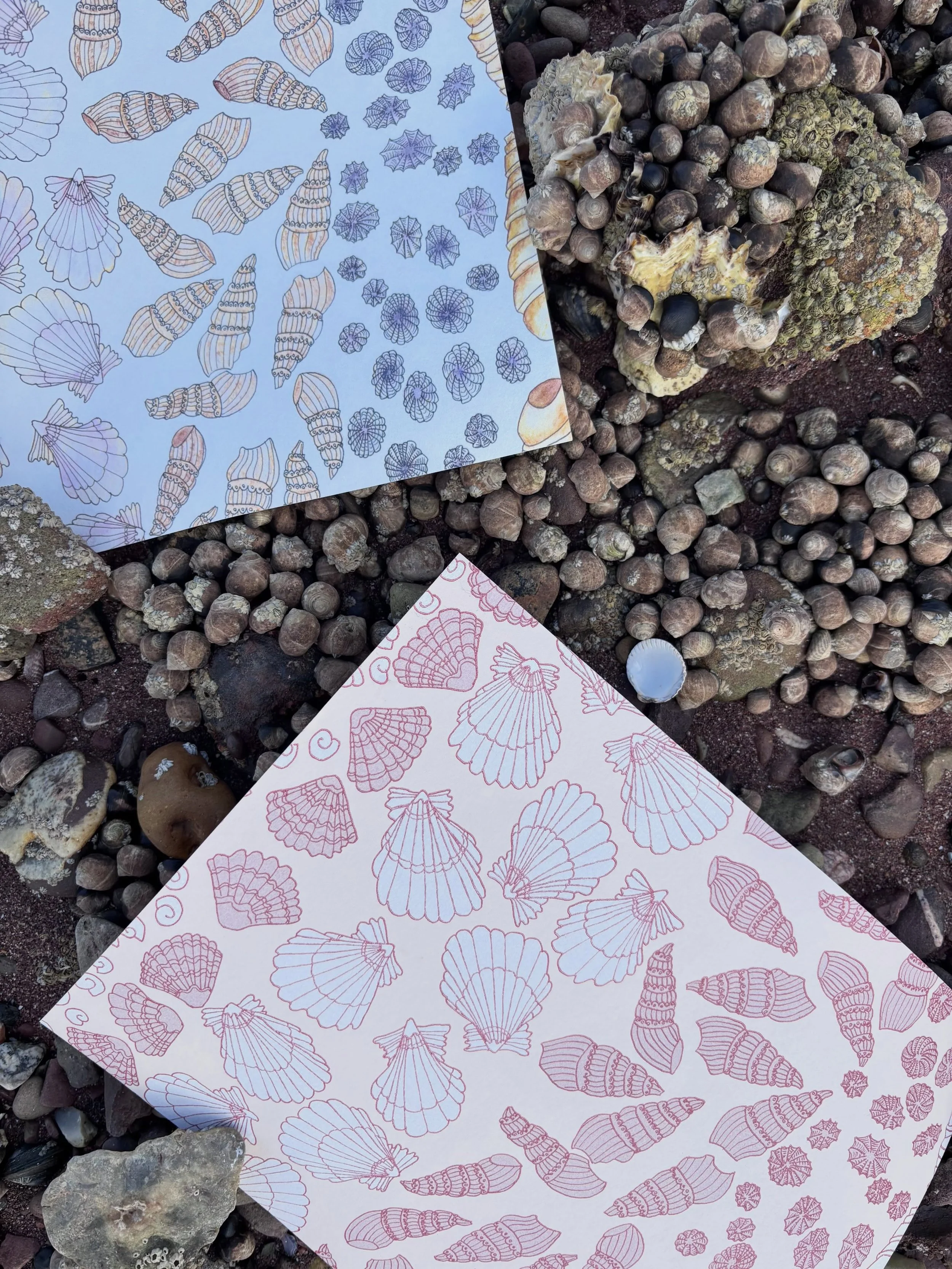 Shells on shells 
🐚
Shell Wallpaper in Watercolour and Scallop