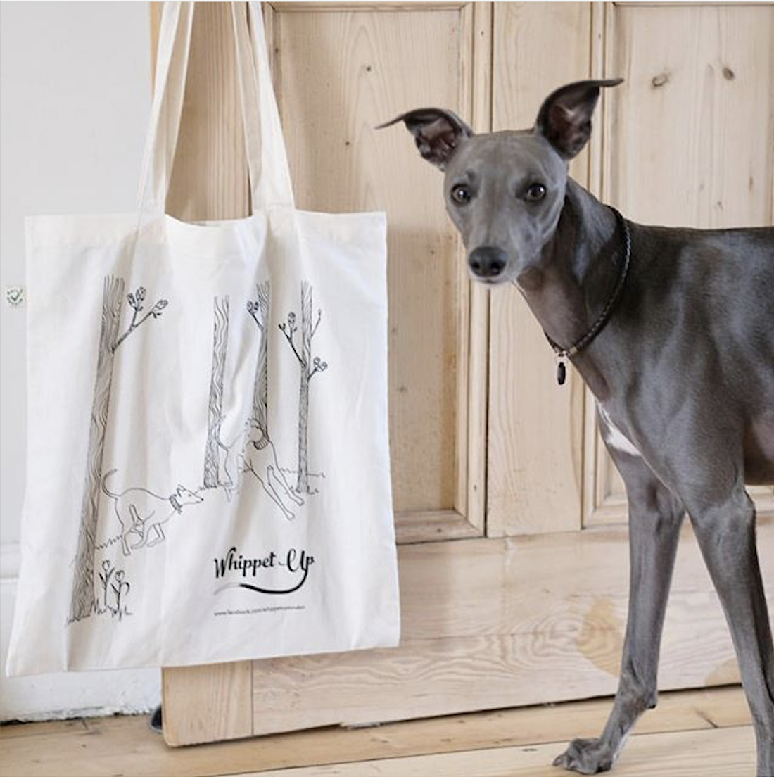 a whippet in front of a pine door with a whippet illustration on a tote bag hanging from the handle