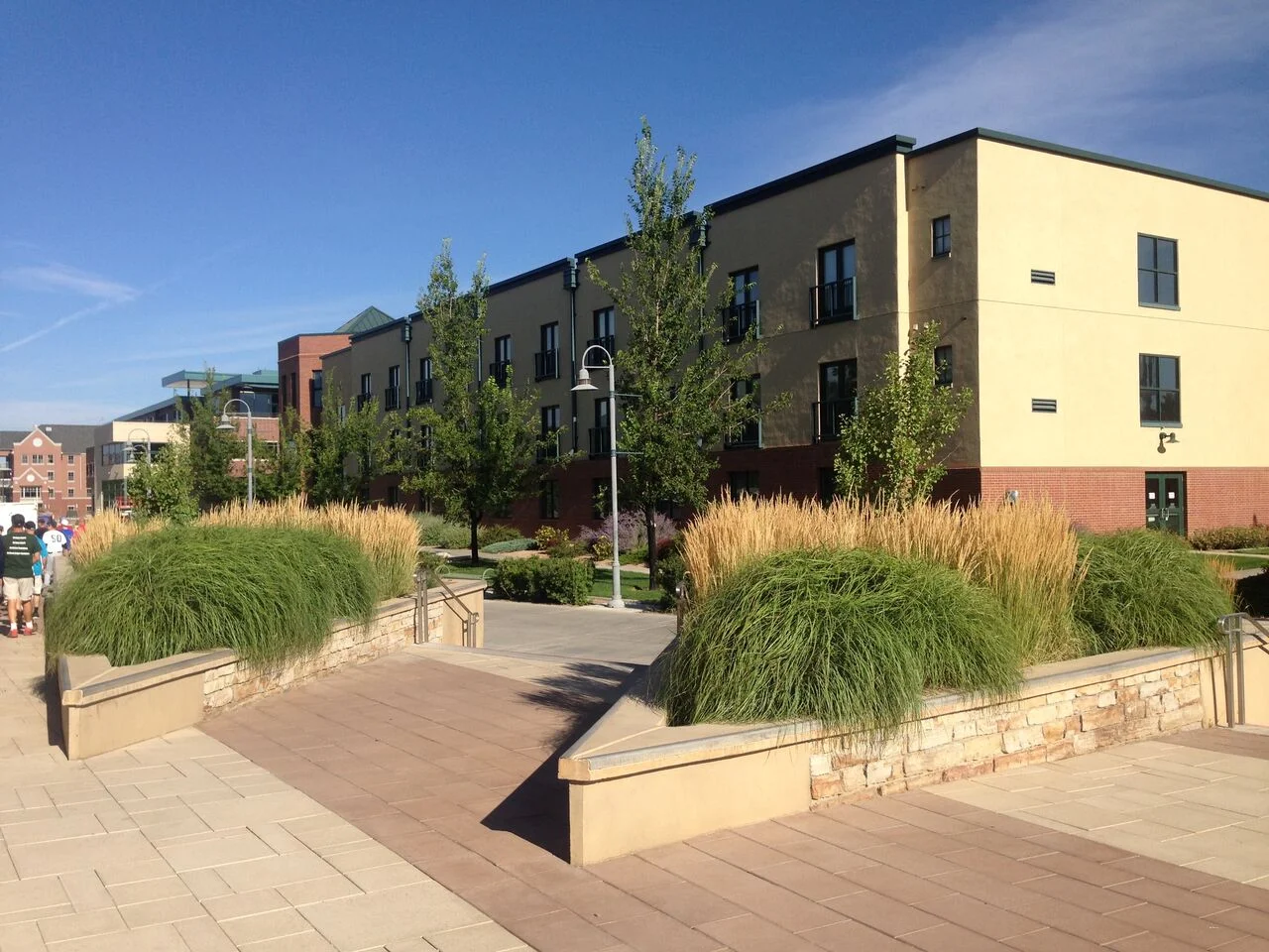 colorado-mesa-university