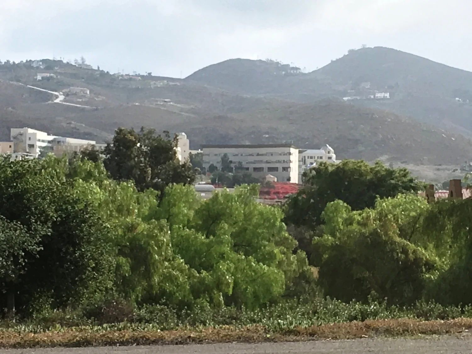 csu-san-marcos
