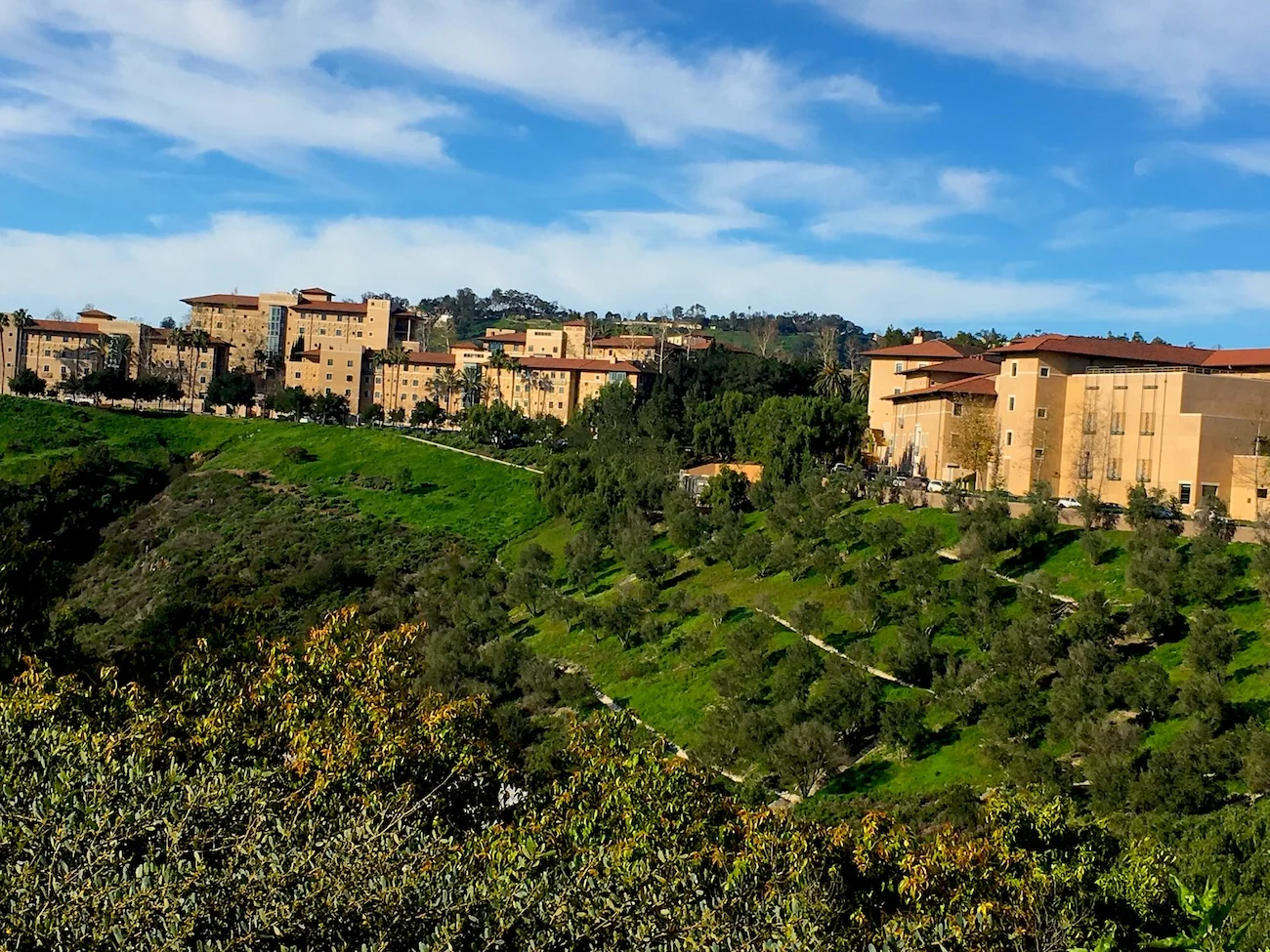 Soka-overview copy.jpg