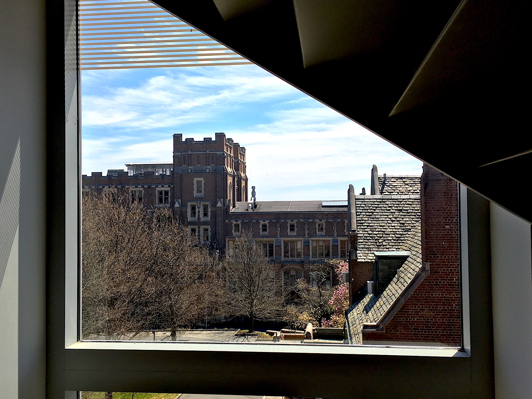 Princeton-University-Library.jpg